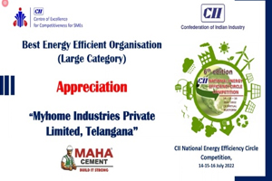 Maha Cement - Awards - Won Best Energy Efficient Organisation (Large Category) Appreciation Award from CII